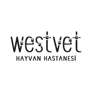 Hakkımızda