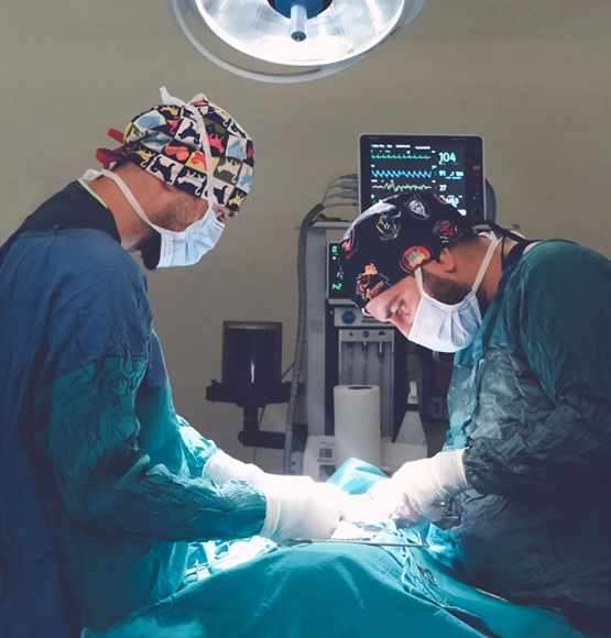 Hakkımızda