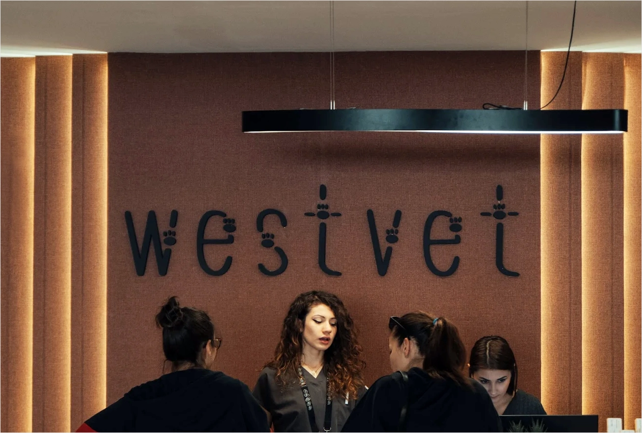 Ankara En İyi Veteriner