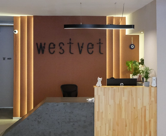 Veteriner Ankara