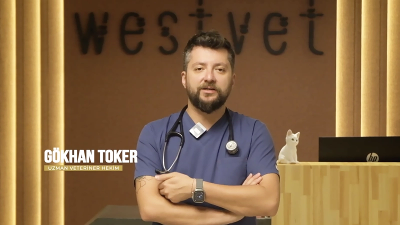 Evcil Dostlarımızda Ortodontik Rahatsızlıklar ve Eğik Düzlem Apereyi